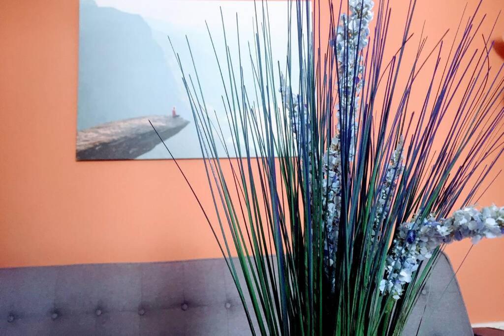 Apartamento 6 De Mayo Ronda Eksteriør billede